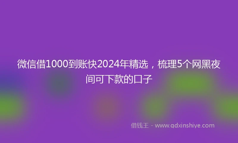微信借1000到账快2024年精选，梳理5个网黑夜间可下款的口子