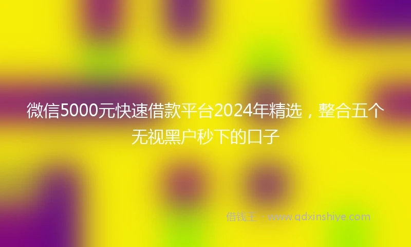 微信5000元快速借款平台2024年精选，整合五个无视黑户秒下的口子