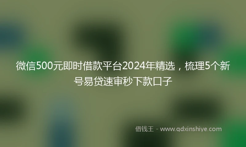 微信500元即时借款平台2024年精选，梳理5个新号易贷速审秒下款口子