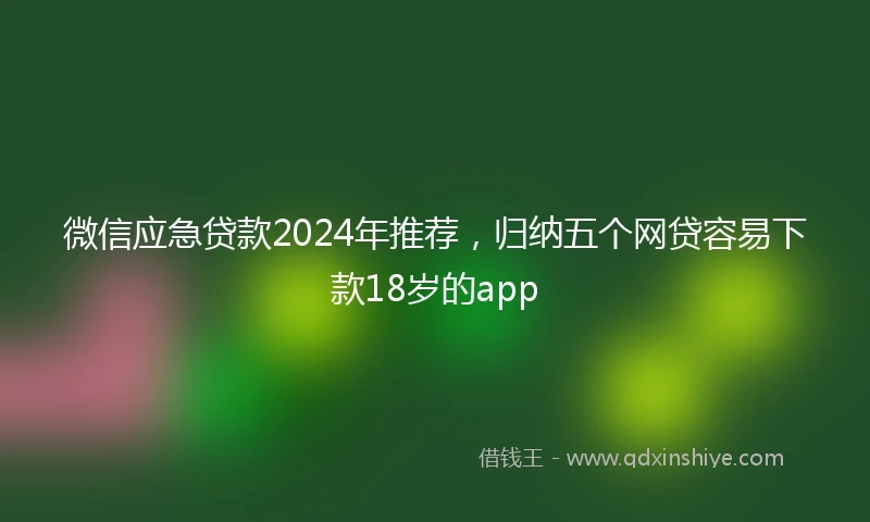 微信应急贷款2024年推荐，归纳五个网贷容易下款18岁的app