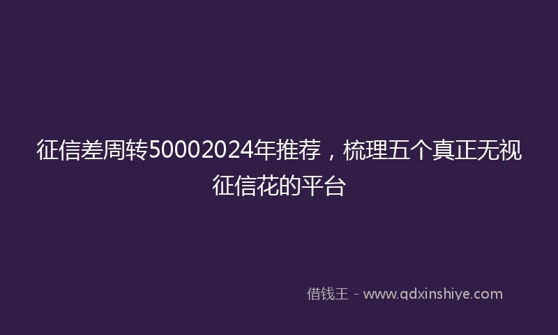 征信差周转50002024年推荐，梳理五个真正无视征信花的平台