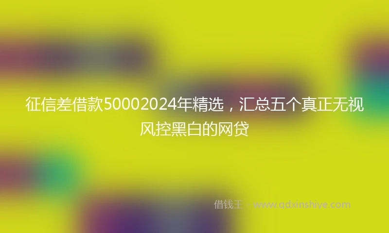 征信差借款50002024年精选，汇总五个真正无视风控黑白的网贷