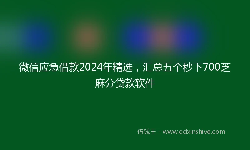 微信应急借款2024年精选，汇总五个秒下700芝麻分贷款软件