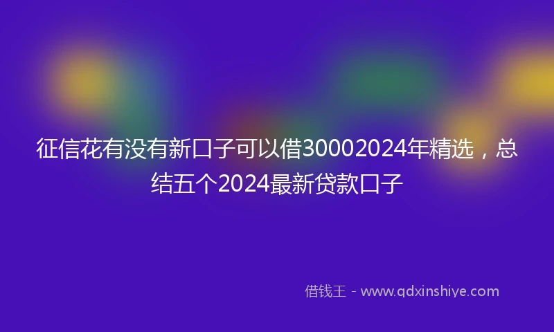 征信花有没有新口子可以借30002024年精选,总结五个2024最新贷款口子