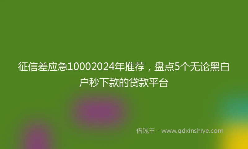 征信差应急10002024年推荐，盘点5个无论黑白户秒下款的贷款平台