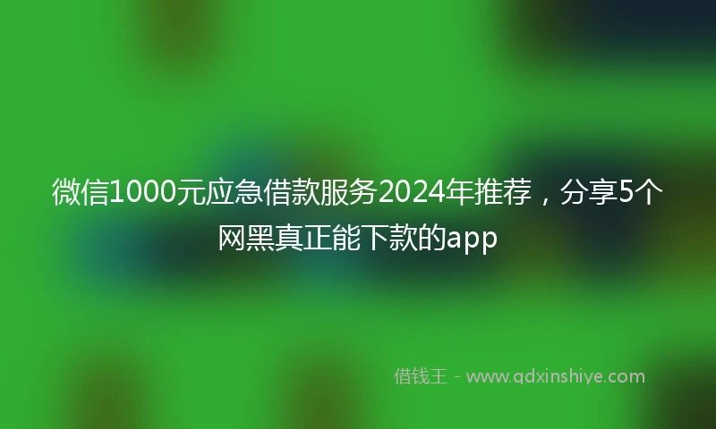 微信1000元应急借款服务2024年推荐，分享5个网黑真正能下款的app