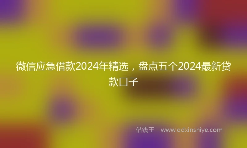 微信应急借款2024年精选，盘点五个2024最新贷款口子