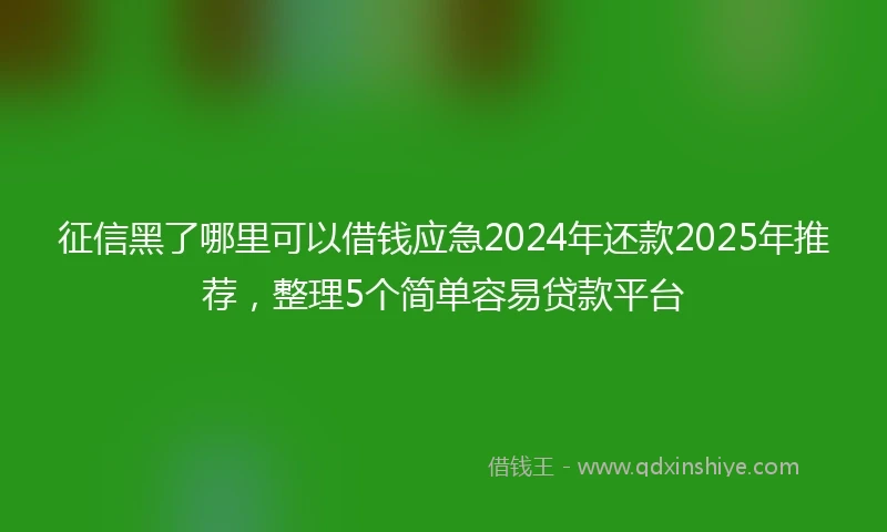 征信黑了哪里可以借钱应急2024年还款2025年推荐，整理5个简单容易贷款平台
