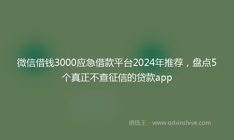 微信借钱3000应急借款平台2024年推荐，盘点5个真正不查征信的贷款app