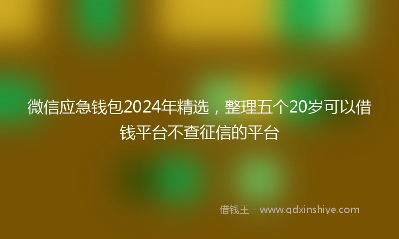 微信应急钱包2024年精选，整理五个20岁可以借钱平台不查征信的平台