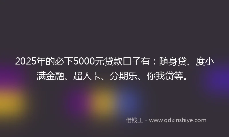 2025年的必下5000元贷款口子有：随身贷、度小满金融、超人卡、分期乐、你我贷等。