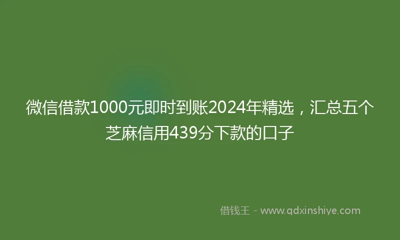 微信借款1000元即时到账2024年精选，汇总五个芝麻信用439分下款的口子