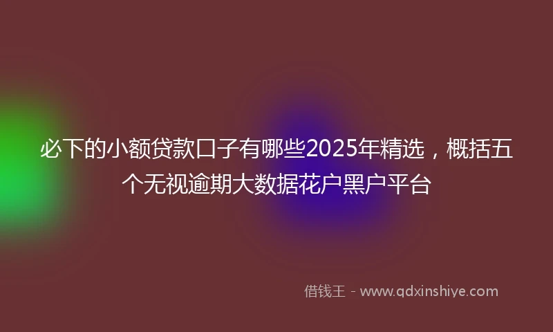 必下的小额贷款口子有哪些2025年精选，概括五个无视逾期大数据花户黑户平台