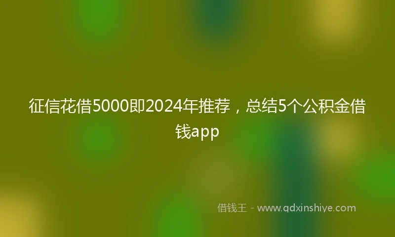 征信花借5000即2024年推荐，总结5个公积金借钱app
