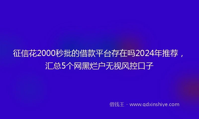 征信花2000秒批的借款平台存在吗2024年推荐，汇总5个网黑烂户无视风控口子