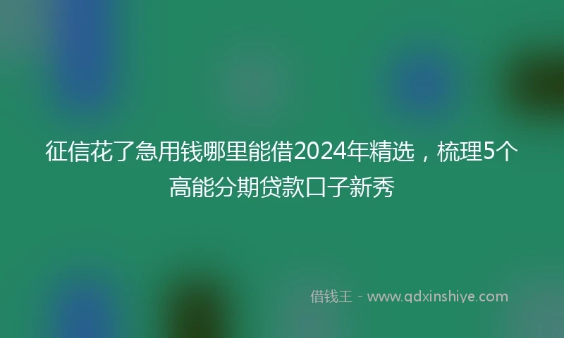 征信花了急用钱哪里能借2024年精选，梳理5个高能分期贷款口子新秀