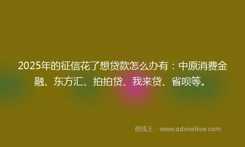 2025年的征信花了想贷款怎么办有：中原消费金融、东方汇、拍拍贷、我来贷、省呗等。