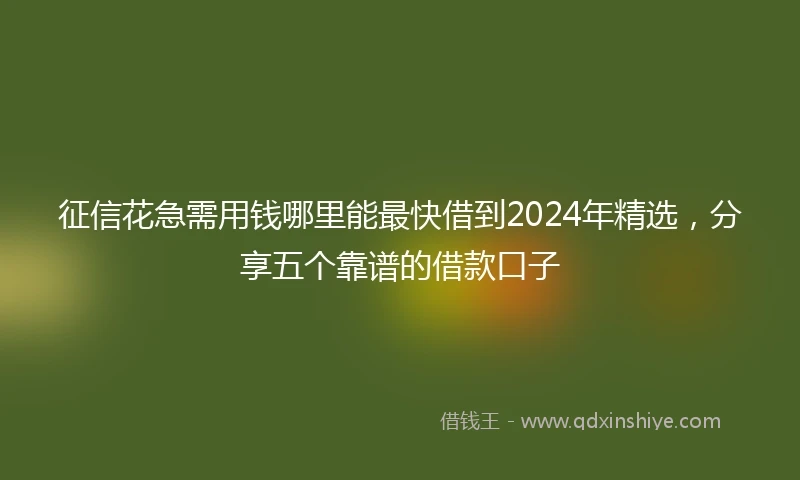 征信花急需用钱哪里能最快借到2024年精选，分享五个靠谱的借款口子