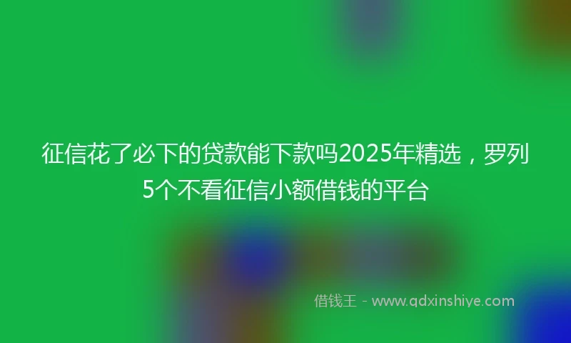 征信花了必下的贷款能下款吗2025年精选，罗列5个不看征信小额借钱的平台