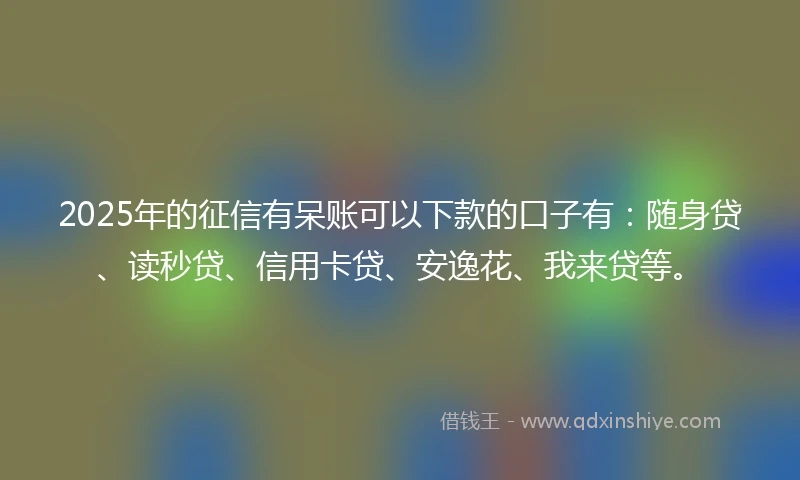 2025年的征信有呆账可以下款的口子有：随身贷、读秒贷、信用卡贷、安逸花、我来贷等。