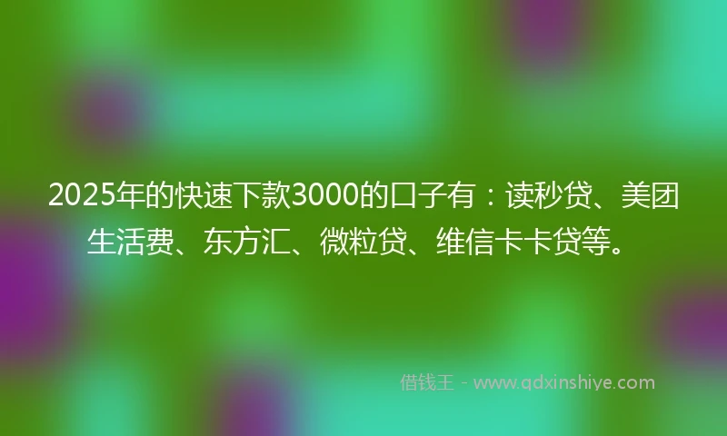 2025年的快速下款3000的口子有：读秒贷、美团生活费、东方汇、微粒贷、维信卡卡贷等。