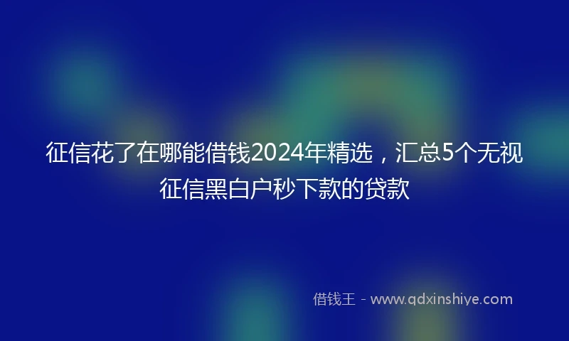 征信花了在哪能借钱2024年精选，汇总5个无视征信黑白户秒下款的贷款