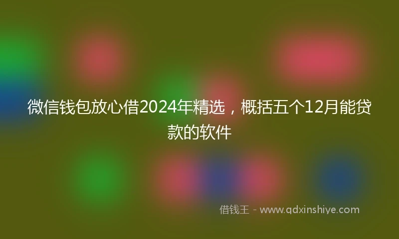 微信钱包放心借2024年精选，概括五个12月能贷款的软件