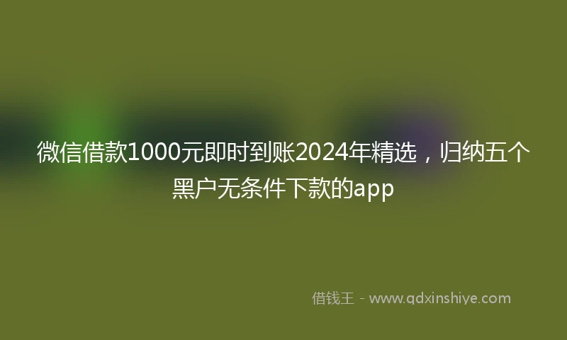 微信借款1000元即时到账2024年精选，归纳五个黑户无条件下款的app