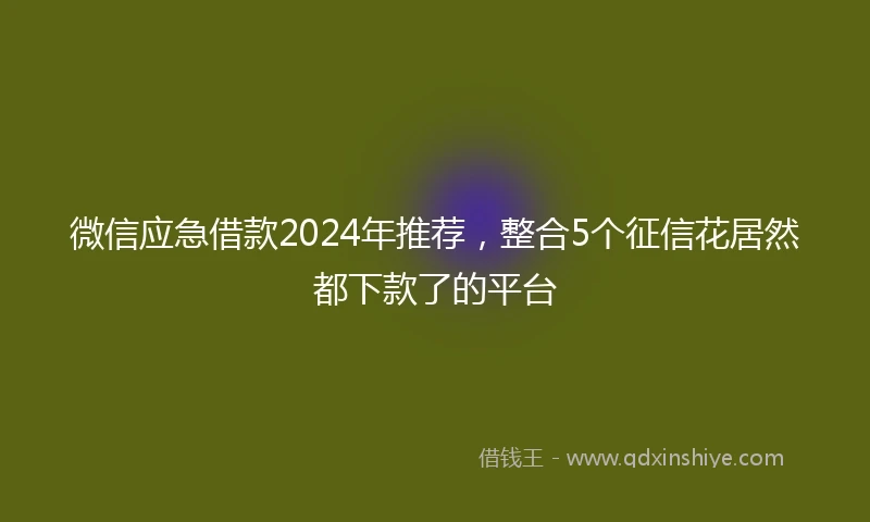 微信应急借款2024年推荐，整合5个征信花居然都下款了的平台