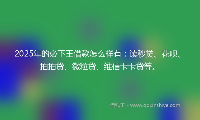 2025年的必下王借款怎么样有：读秒贷、花呗、拍拍贷、微粒贷、维信卡卡贷等。