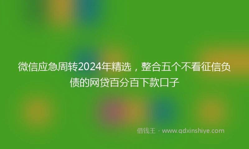 微信应急周转2024年精选，整合五个不看征信负债的网贷百分百下款口子