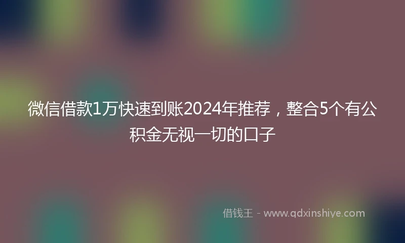 微信借款1万快速到账2024年推荐，整合5个有公积金无视一切的口子