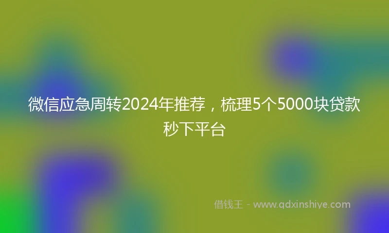 微信应急周转2024年推荐，梳理5个5000块贷款秒下平台