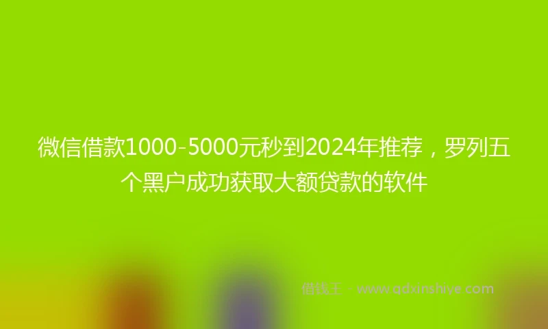 微信借款1000-5000元秒到2024年推荐，罗列五个黑户成功获取大额贷款的软件