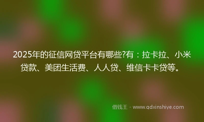 2025年的征信网贷平台有哪些?有：拉卡拉、小米贷款、美团生活费、人人贷、维信卡卡贷等。