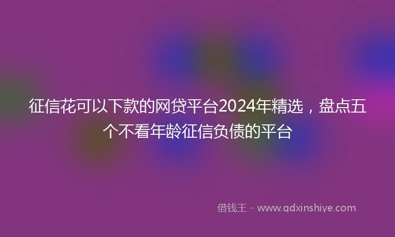 征信花可以下款的网贷平台2024年精选，盘点五个不看年龄征信负债的平台