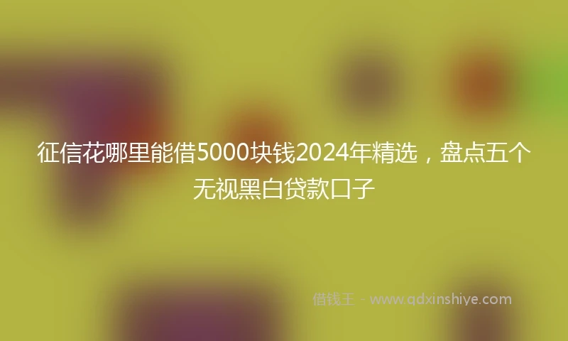 征信花哪里能借5000块钱2024年精选，盘点五个无视黑白贷款口子