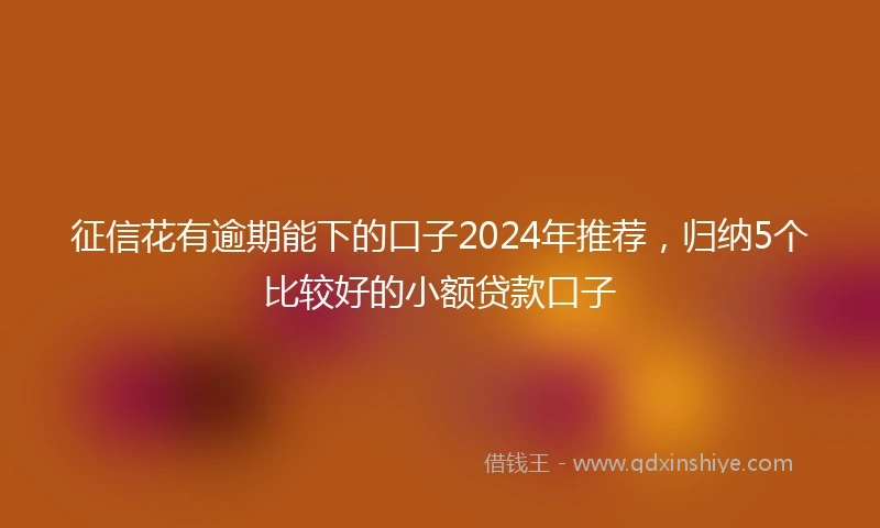 征信花有逾期能下的口子2024年推荐，归纳5个比较好的小额贷款口子