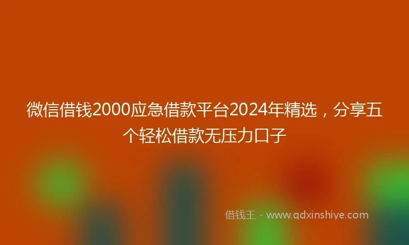 微信借钱2000应急借款平台2024年精选，分享五个轻松借款无压力口子