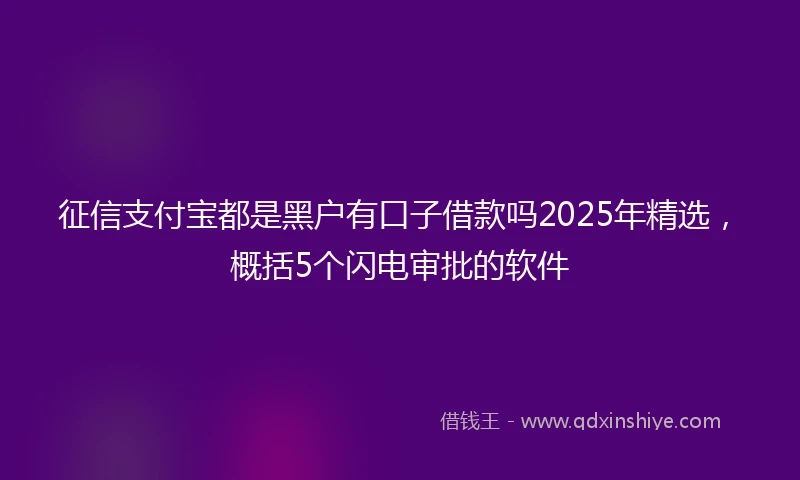 征信支付宝都是黑户有口子借款吗2025年精选，概括5个闪电审批的软件