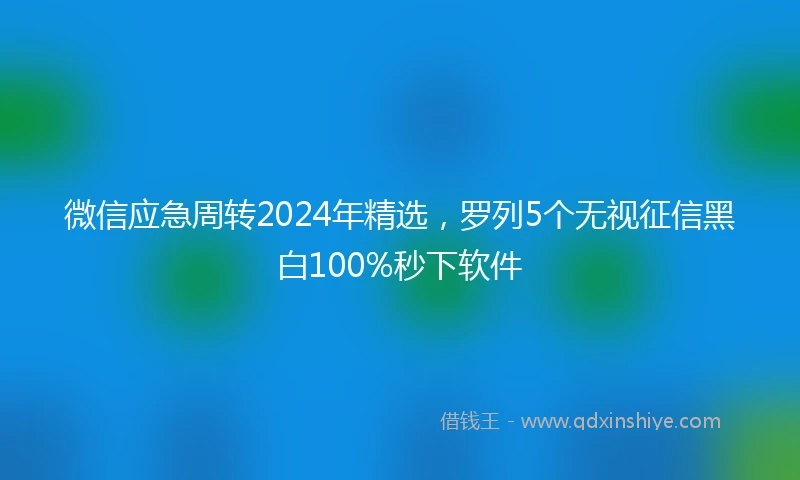 微信应急周转2024年精选，罗列5个无视征信黑白100%秒下软件