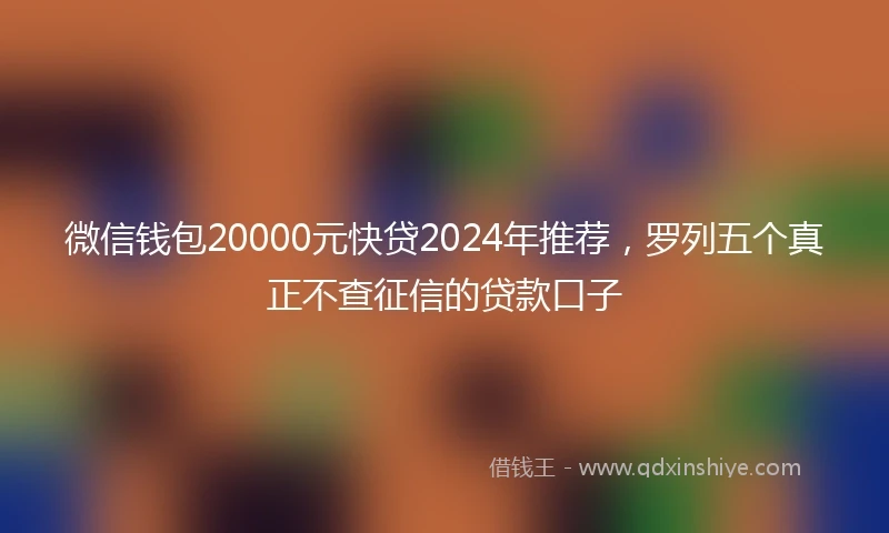 微信钱包20000元快贷2024年推荐,罗列五个真正不查征信的贷款口子