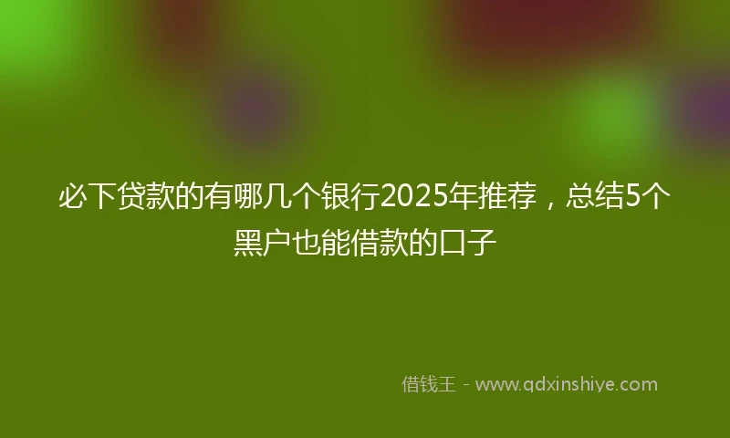 必下贷款的有哪几个银行2025年推荐，总结5个黑户也能借款的口子