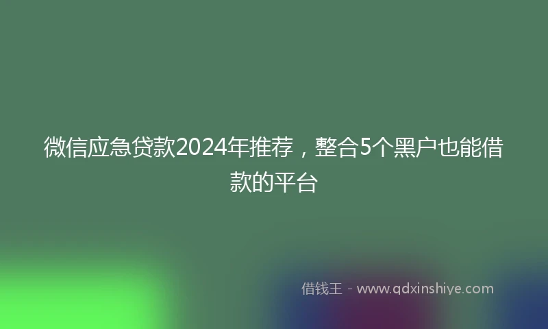 微信应急贷款2024年推荐，整合5个黑户也能借款的平台