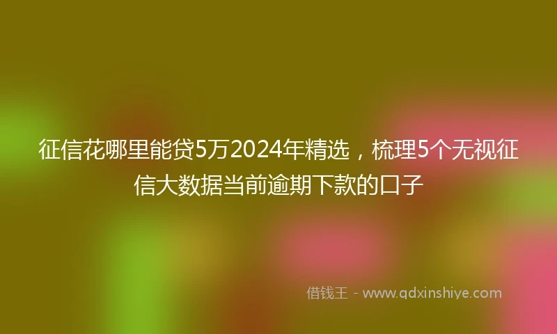 征信花哪里能贷5万2024年精选，梳理5个无视征信大数据当前逾期下款的口子