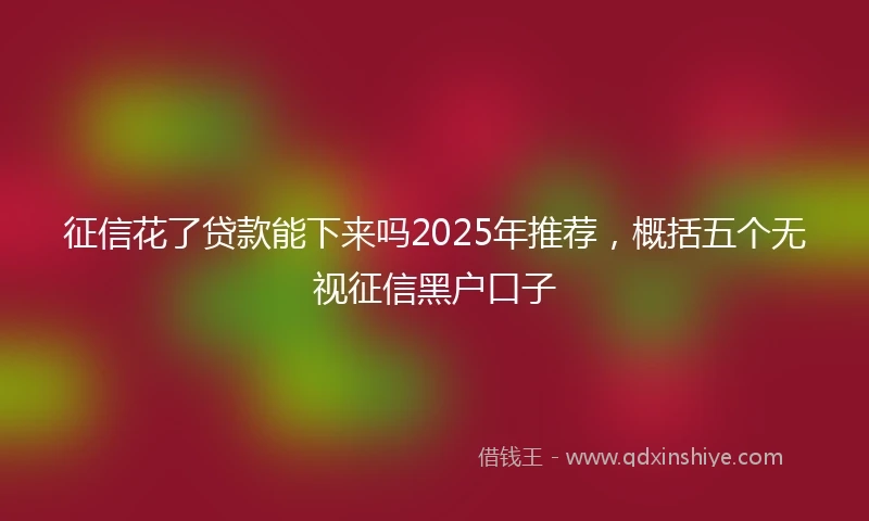 征信花了贷款能下来吗2025年推荐，概括五个无视征信黑户口子