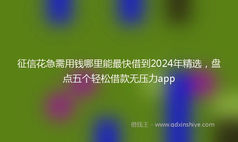 征信花急需用钱哪里能最快借到2024年精选,盘点五个轻松借款无压力app