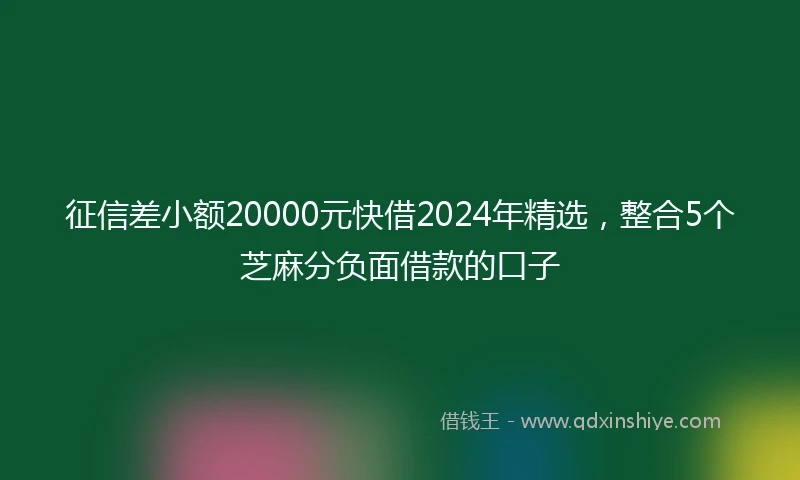 征信差小额20000元快借2024年精选，整合5个芝麻分负面借款的口子