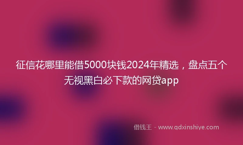 征信花哪里能借5000块钱2024年精选，盘点五个无视黑白必下款的网贷app