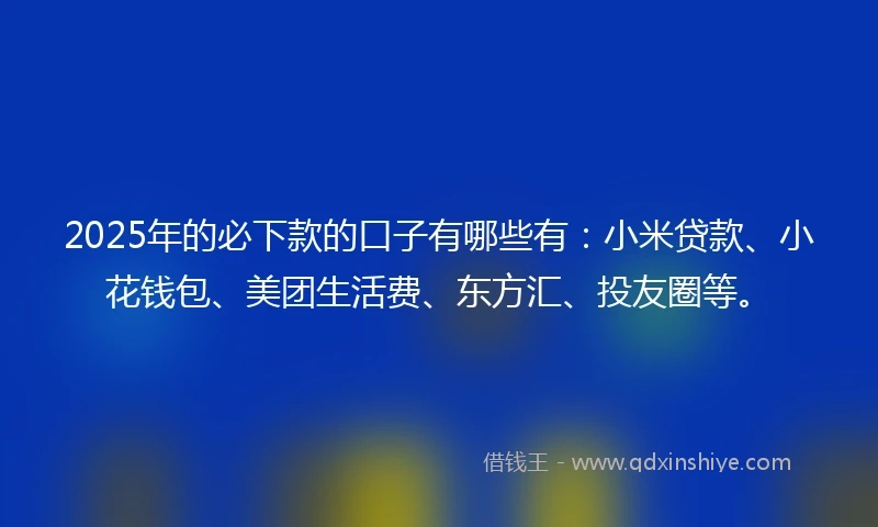 2025年的必下款的口子有哪些有：小米贷款、小花钱包、美团生活费、东方汇、投友圈等。